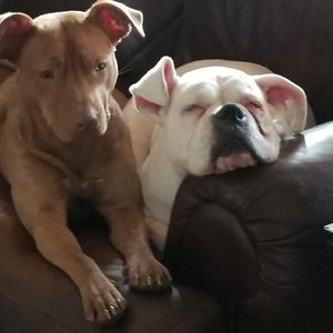 Meet your Posher, Terri